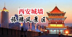 用大鸡巴操人的黄片中国陕西-西安城墙旅游风景区